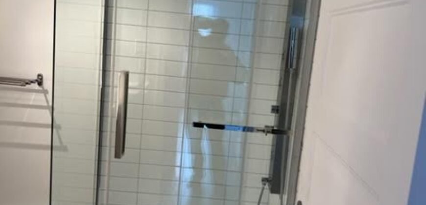 475 De l’Hémérocalle