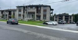 475 De l’Hémérocalle