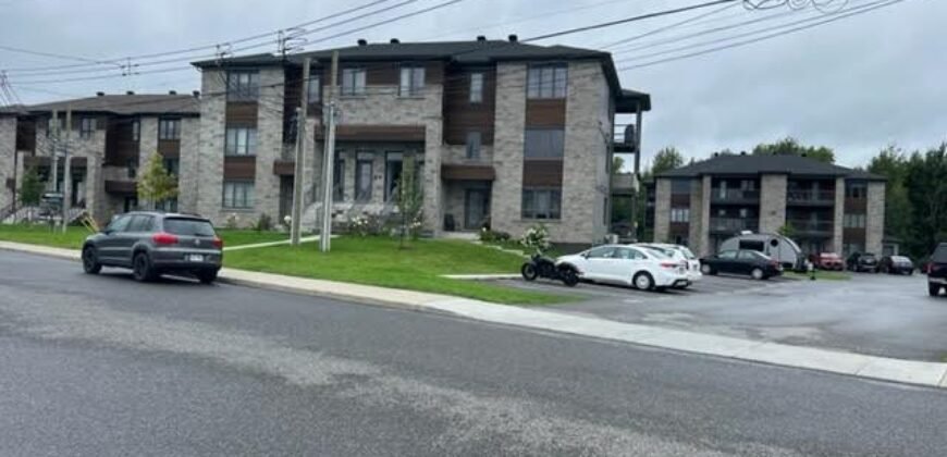 475 De l’Hémérocalle