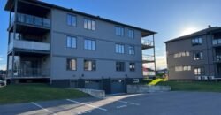 475 De l’Hémérocalle