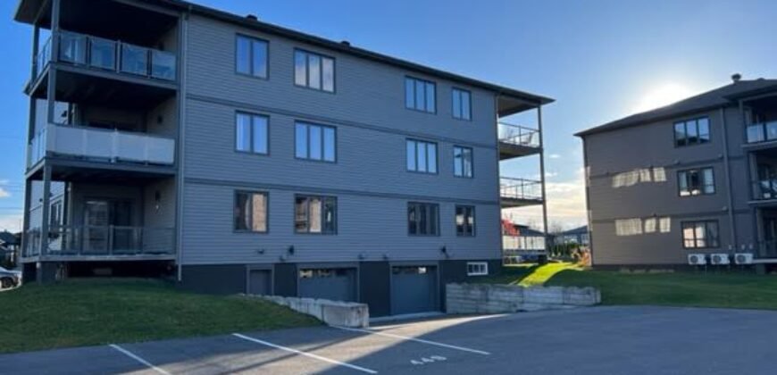 475 De l’Hémérocalle