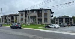 475 De l’Hémérocalle