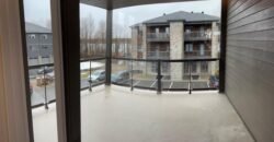 475 De l’Hémérocalle