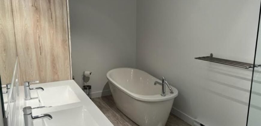 475 De l’Hémérocalle