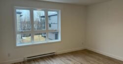 475 De l’Hémérocalle