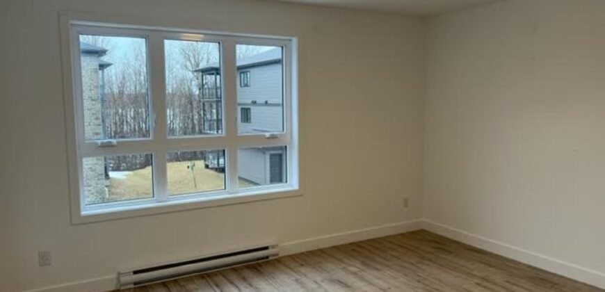 475 De l’Hémérocalle