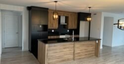 475 De l’Hémérocalle