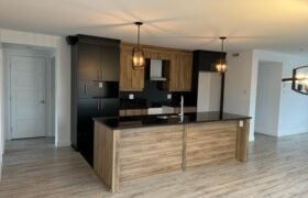 475 De l’Hémérocalle