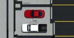 407 De l’Hémérocalle